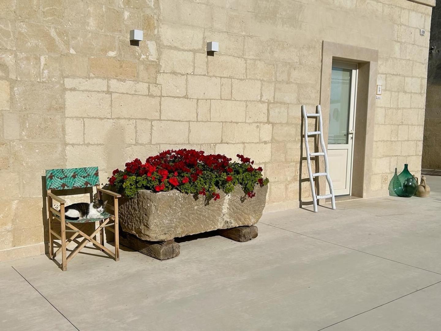 Masseria Spiga 그라비나인풀리아 외부 사진